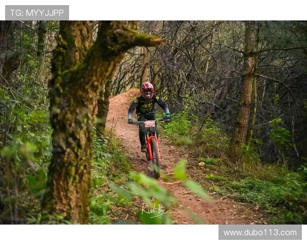 2026年公路车比赛:全球顶尖车手的巅峰对决与精彩瞬间