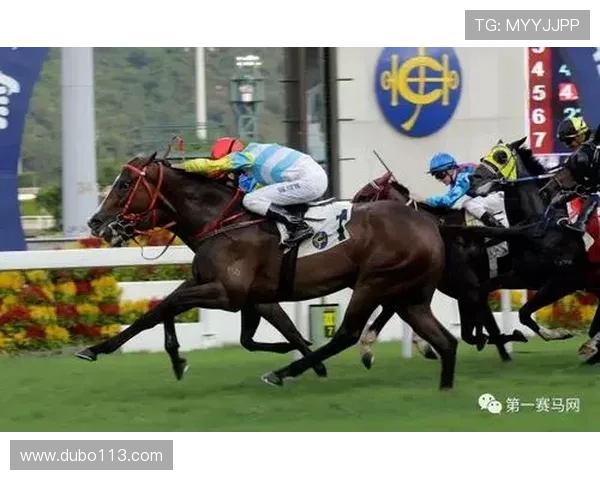 各类体育博彩平台的奖金政策与优惠活动汇总